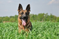 /album/ljeto-2012/dsc-0145-jpg/