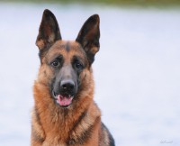 /album/ljeto-2012/a0-b7614-8761637a-orig-jpg/